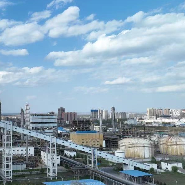 factory Xinggao Chem 6