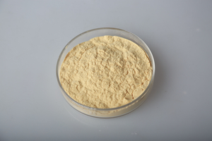 Chitosan Oligosaccharide