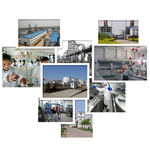 TGA Thioglycolic Acid CAS 68-11-1 with 99% purity 