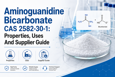 Aminoguanidine Bicarbonate CAS 2582-30-1.png